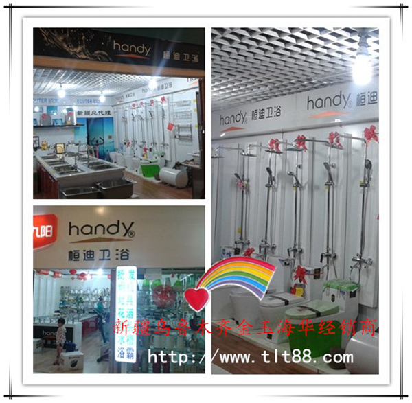 [桓迪衛(wèi)浴]新疆烏魯木齊的代理商成功案例