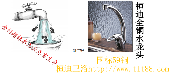 桓迪全銅水龍頭