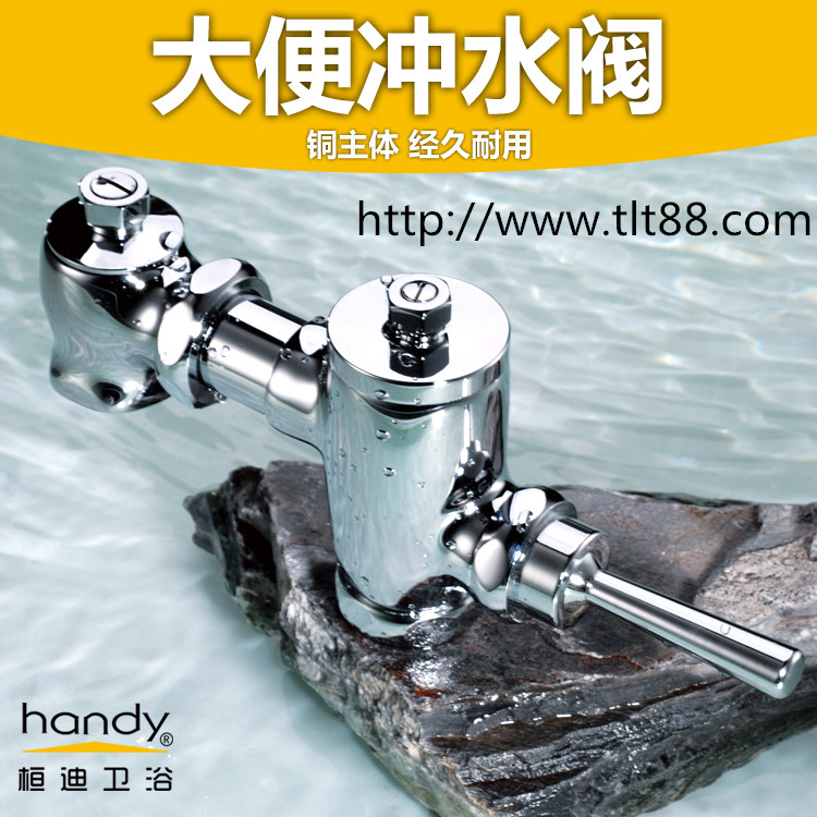 延時自閉大便沖洗閥