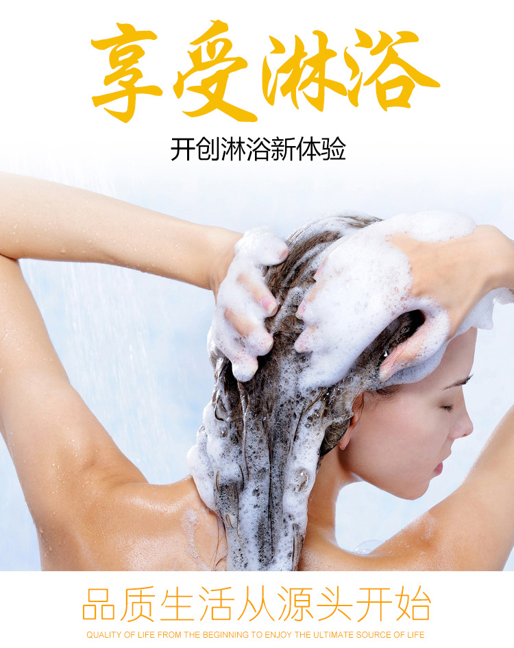 桓迪按鈕換擋淋浴花灑套裝 HD-4E56T
